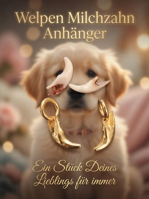 Hunde und Katzen Zähne