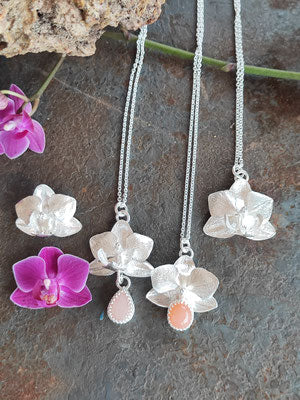 Orchideen