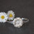 Set Nr. 6 Gänseblümchen Ohrstecker und Armreif
