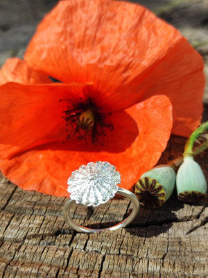 Mohn Deckel Ring