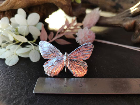 Schmetterlings Ring