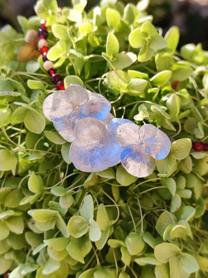 Hortensien Anhänger mit drei Blüten
