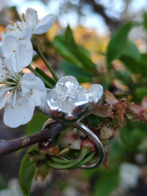 Kirschblüten Ring