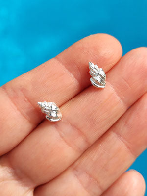 Mini Muschel Ohrstecker