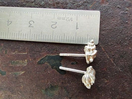 Mini Muschel Ohrstecker
