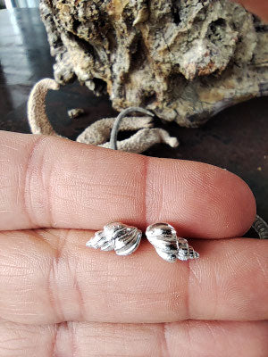 Mini Muschel Ohrstecker
