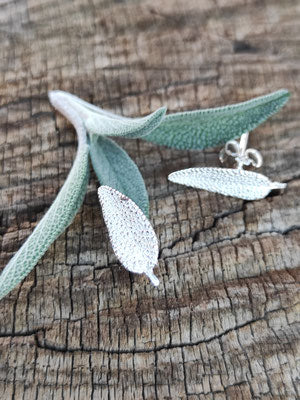 Mini Salbei Set