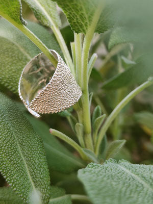 Salbei Ring