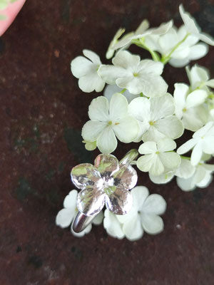 Schneeball Hortensien Ring mit großer Blüte
