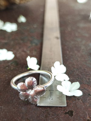 Schneeball Hortensien Ring mit großer Blüte