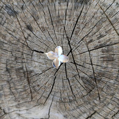 Zarter Flieder Blüten Ring